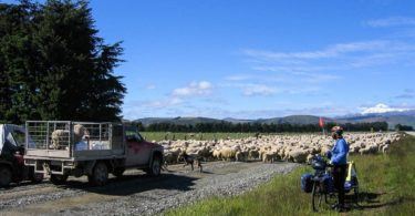 South Island New Zealand is one giant sheep farm
