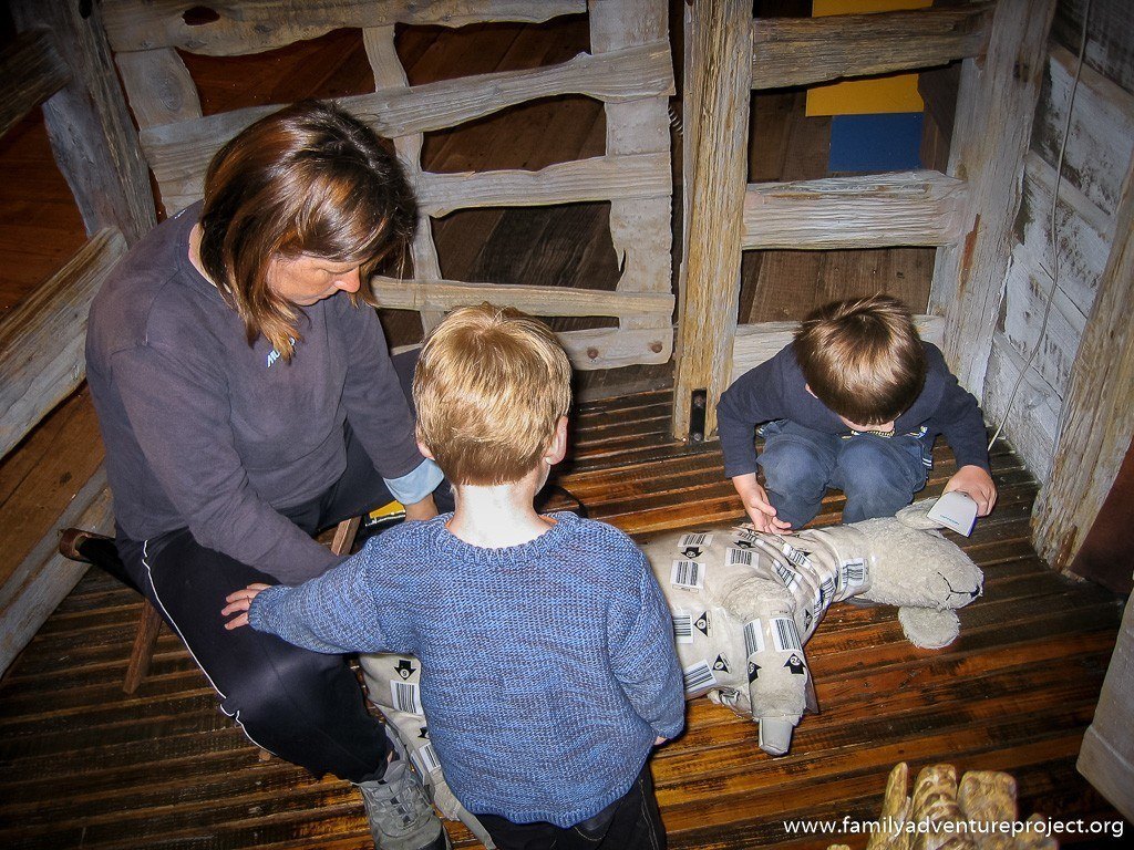 Sheep Shearing practice in Te Papa, Wellington, New Zealand