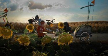 Sunflowers and cycles on the Camino de Santiago