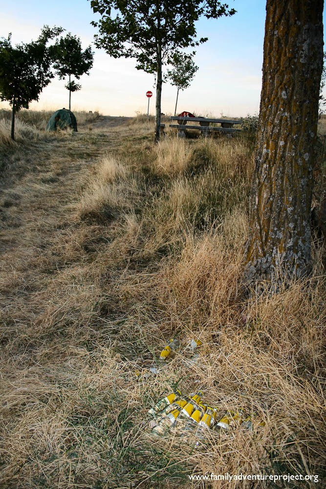 Schweppes Tonic under a tree Camino de Santiago Schweppes Tonic under a tree Camino de Santiago