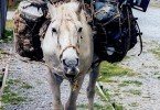 Bikes on Horseback Patagonia