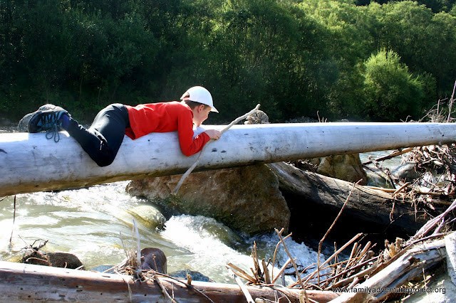 Crossing a river on a log - cotton wool parenting Crossing a river on a log - cotton wool parenting