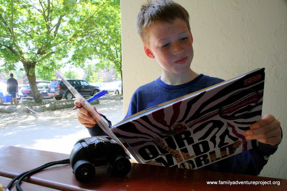 Cameron reading his guide, Givskud Zoo, Denmark