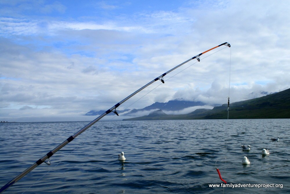 Fishing in Eskifjordur IMG_0172 Fishing in Eskifjordur