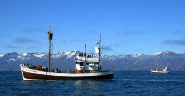 North Sailing Fleet Husavik Whale Watching
