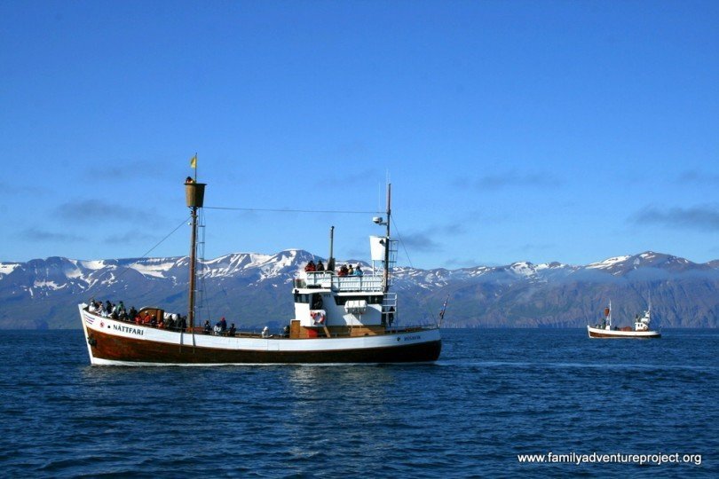 North Sailing Fleet Husavik Whale Watching