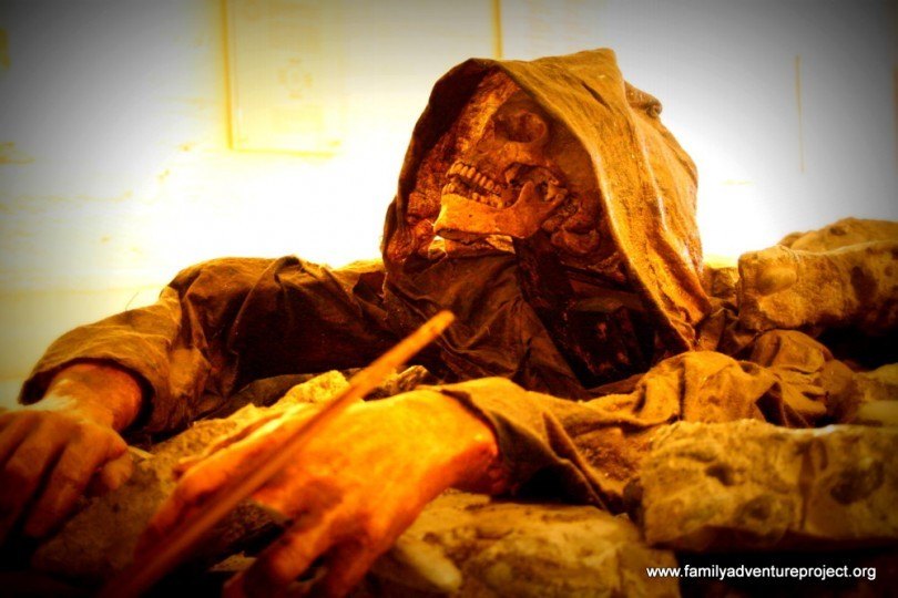 Skeleton in Holmavik Museum of Witchcraft and Sorcery