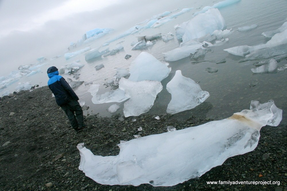 Contemplating icebergs at Jokulsarlon Contemplating icebergs at Jokulsarlon