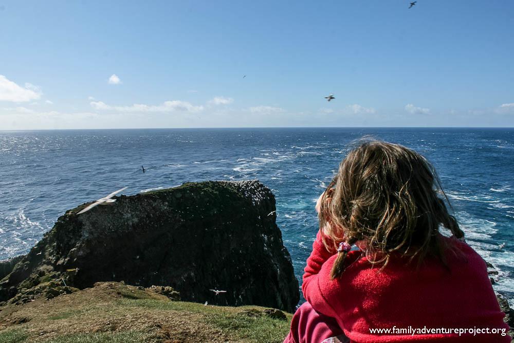 Looking at the gannet colony on Mykines, Faroe Islands