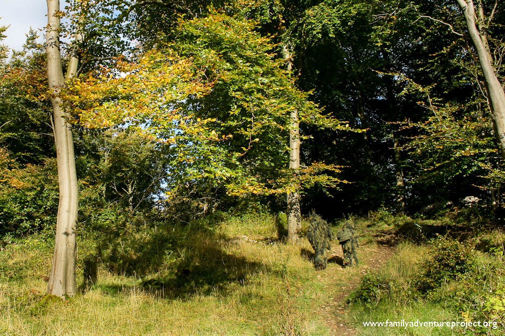 Heading into the Woods IMG_4088