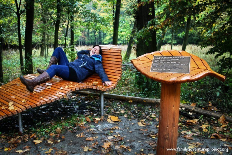 Eifel National Park Zen Bench