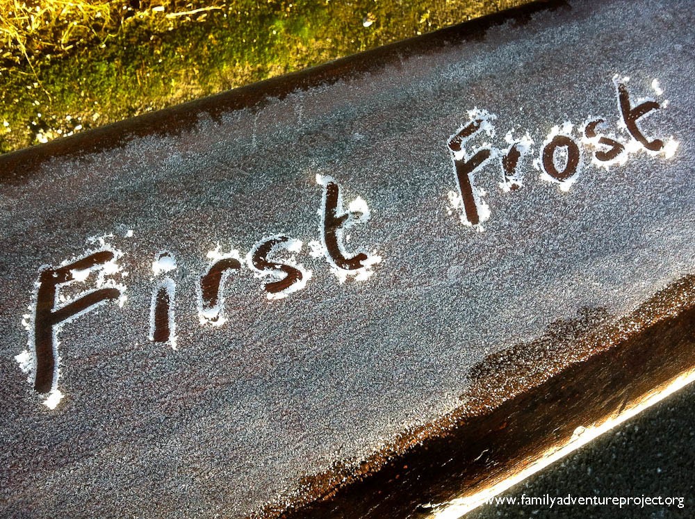 First Frost