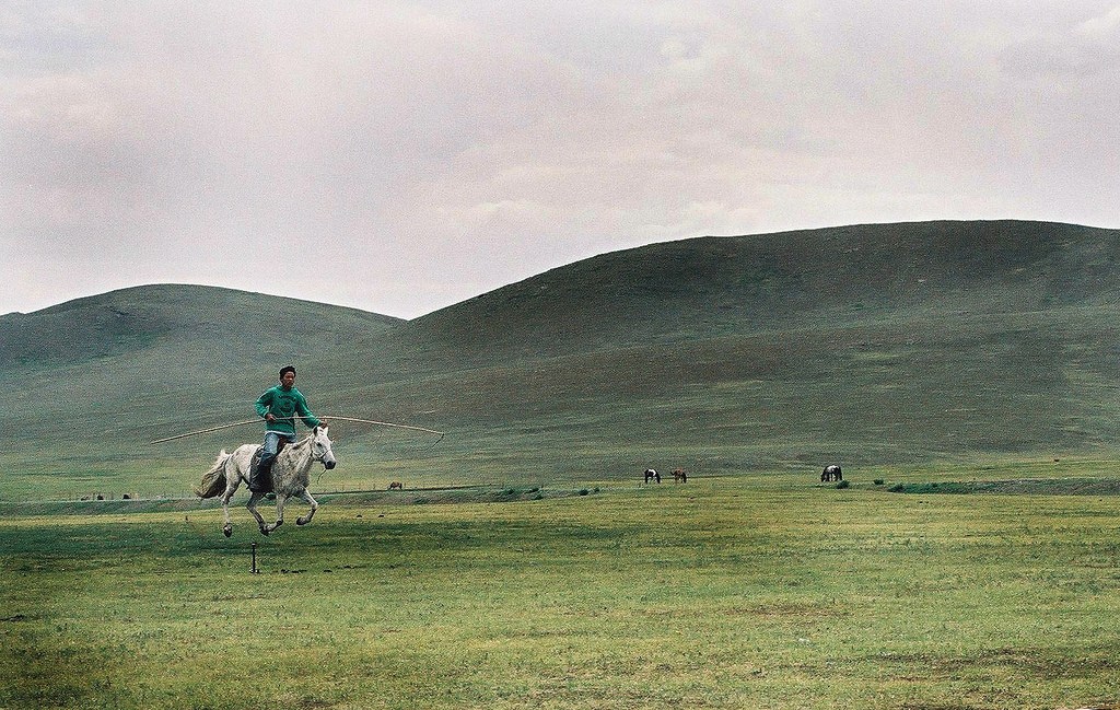 Catching horses on the Mongolian Step Catching horses on the Mongolian Step
