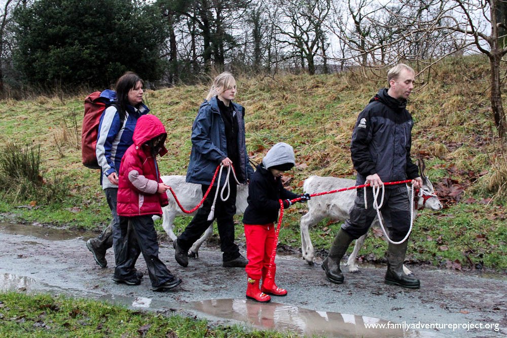 Walking a Reindeer at Brockhole Walking a Reindeer at Brockhole