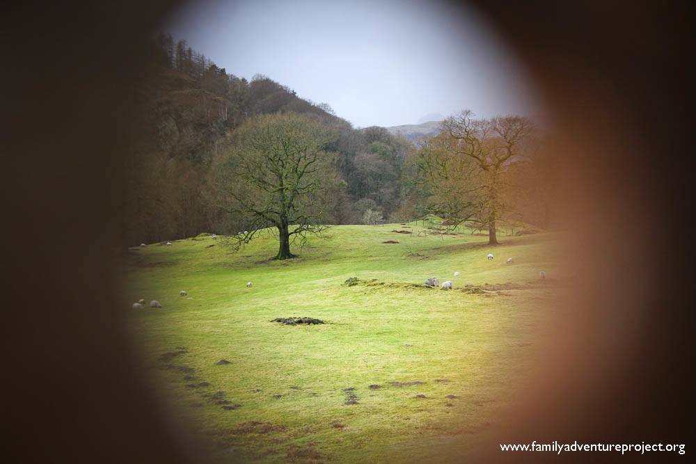 Rydal Hall Landscape Rydal Hall Landscape