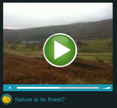 Video-Button-Nature