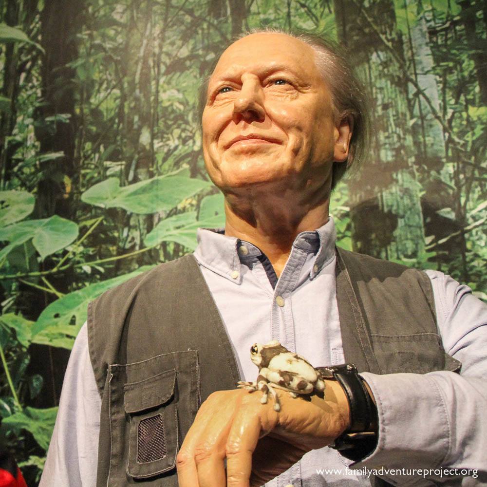 David Attenborough at Madame Tussauds Blackpool