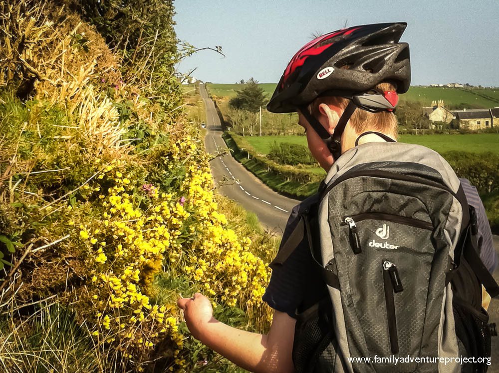 Examining the flowers on Arran Examining the flowers on Arran