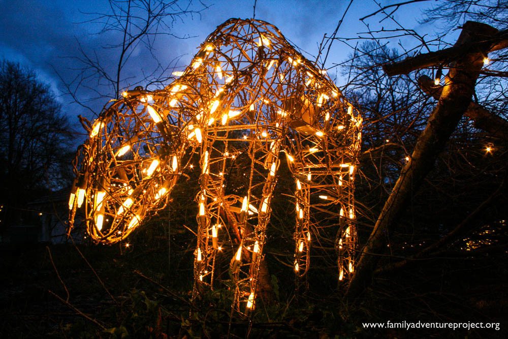 Christmas Reindeer Lights Christmas Reindeer Lights