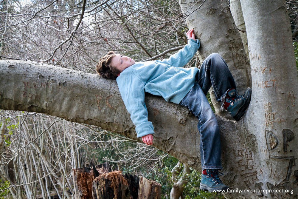 Resting in a tree