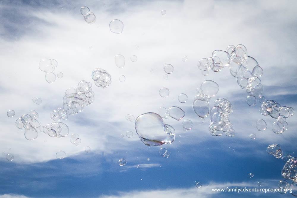 Life in a bubble looks lovely