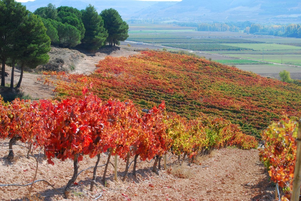 Castilla Y Leon Tourist Board Castilla Y Leon Tourist Board