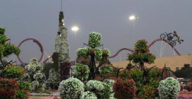 Dubai Miracle Garden Dubailand