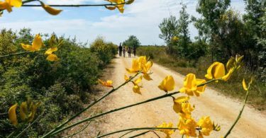 Cycling on the Delta Llobjegat, Costa Barcelona