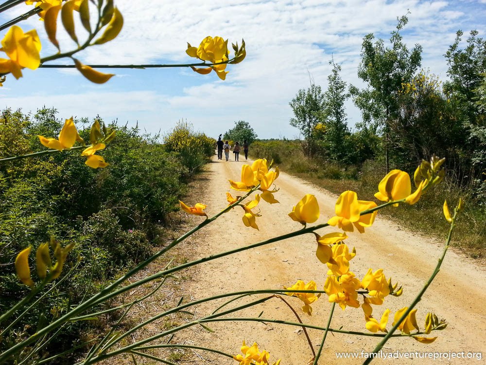 Cycling on the Delta Llobjegat, Costa Barcelona