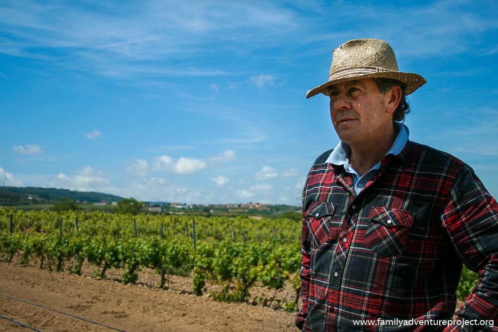 In the Vinyards of Costa Barcelona