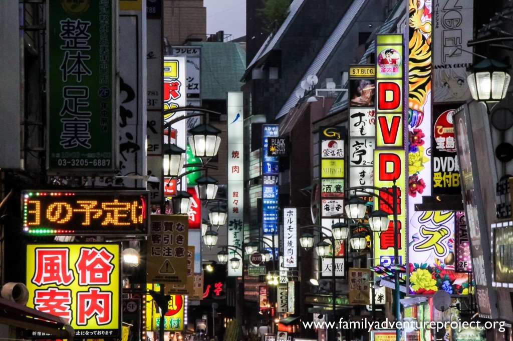 Tokyo Neon in the Shinjuku District at Night