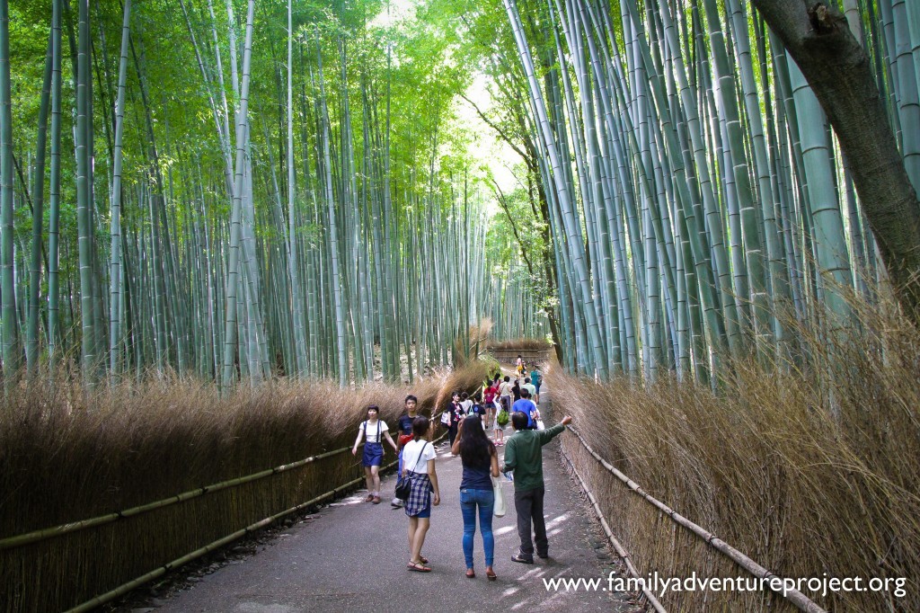 Bamboo Grove at Arashiyama near Kyoto Japan