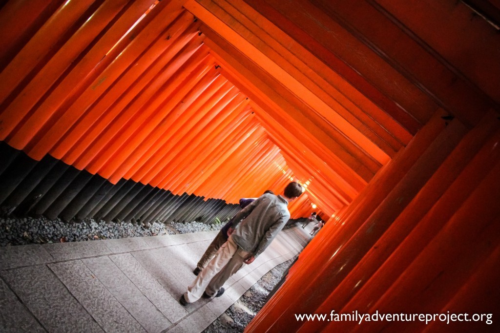 Bamboo Grove at Arashiyama near Kyoto Japan