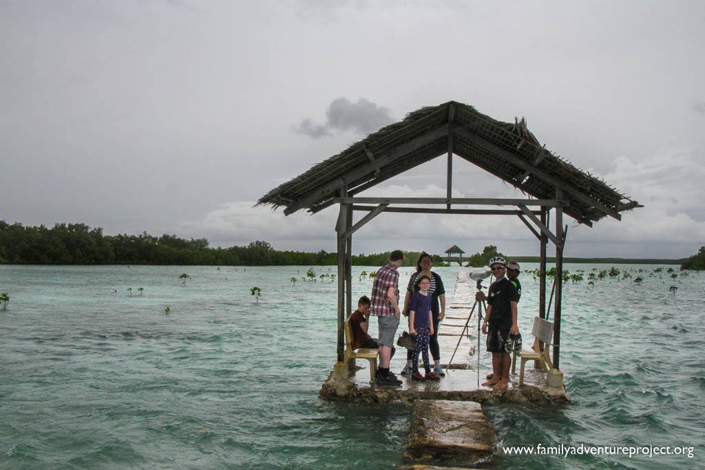 So many amazing places to visit in The Philippines. Like the viewing towers at Olango Wildlife Reserve, Olango Island