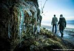 Icicles on Winter Walk in Arnside