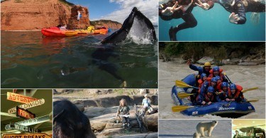 Adventure Travel Show
