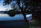 Windermere Outdoor Cinema