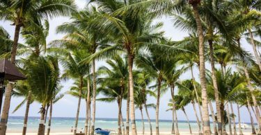 Philippines Beach Resort, South Palms, Bohol