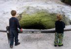 The Devil's Hole at Wai-O-Tape Thermal Wonderland near Rotorua