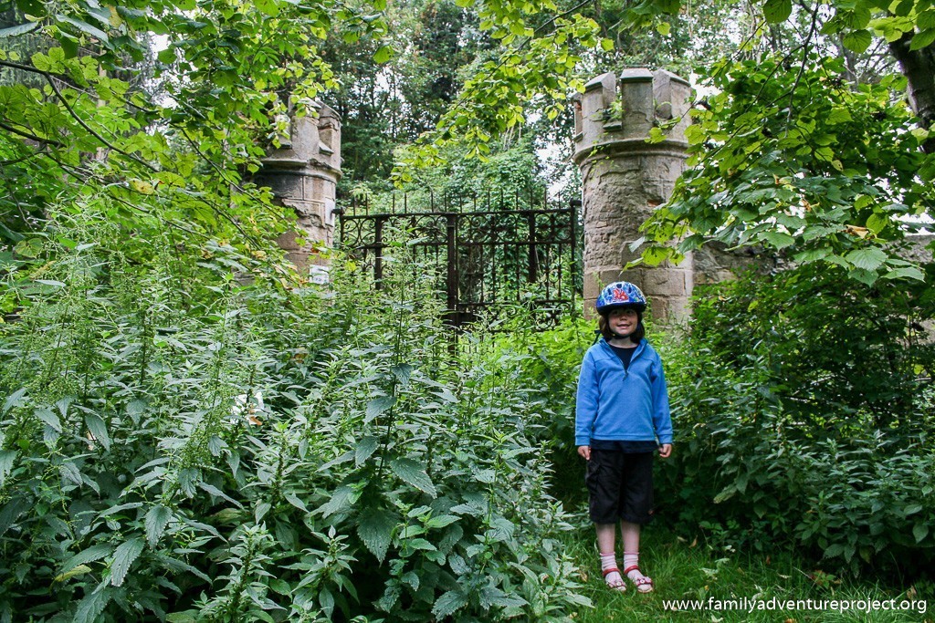 Lost in the woods