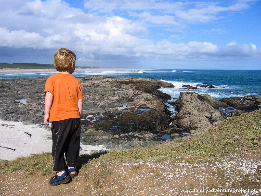 Looking out to sea North Island New Zealand