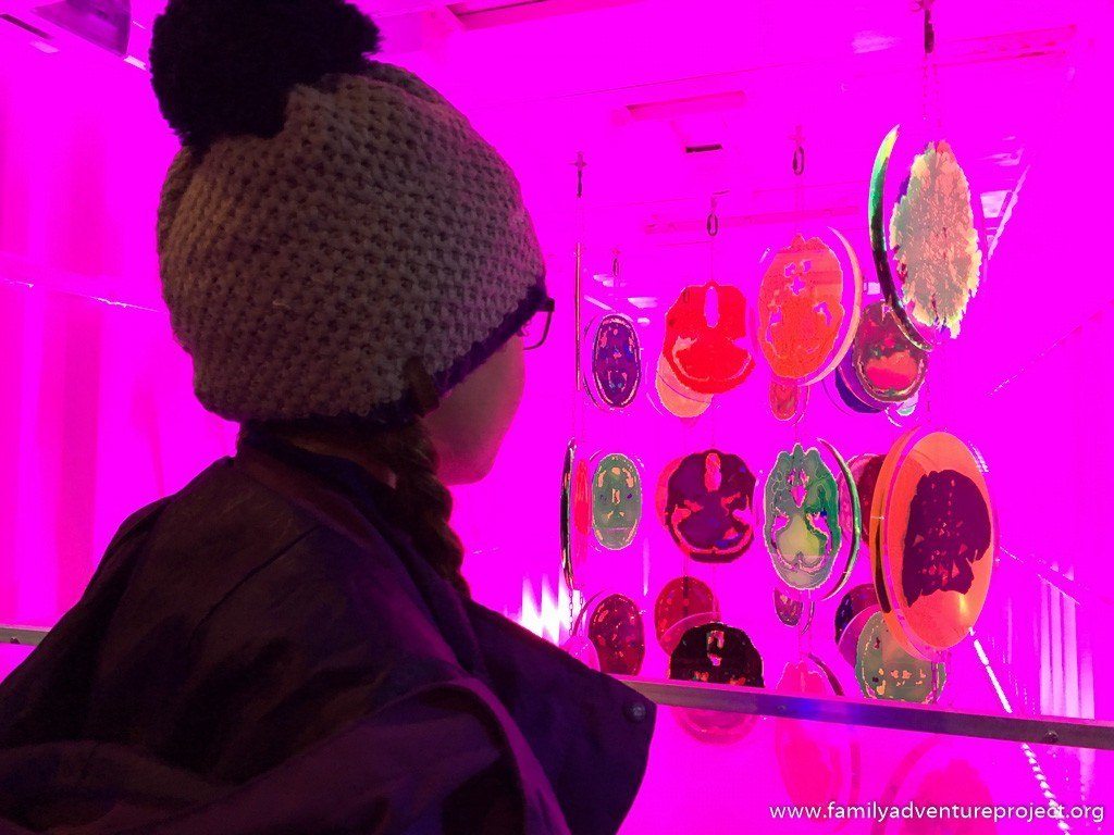 Lightpool installation in Blackpool, Brain Container by Jo Berry