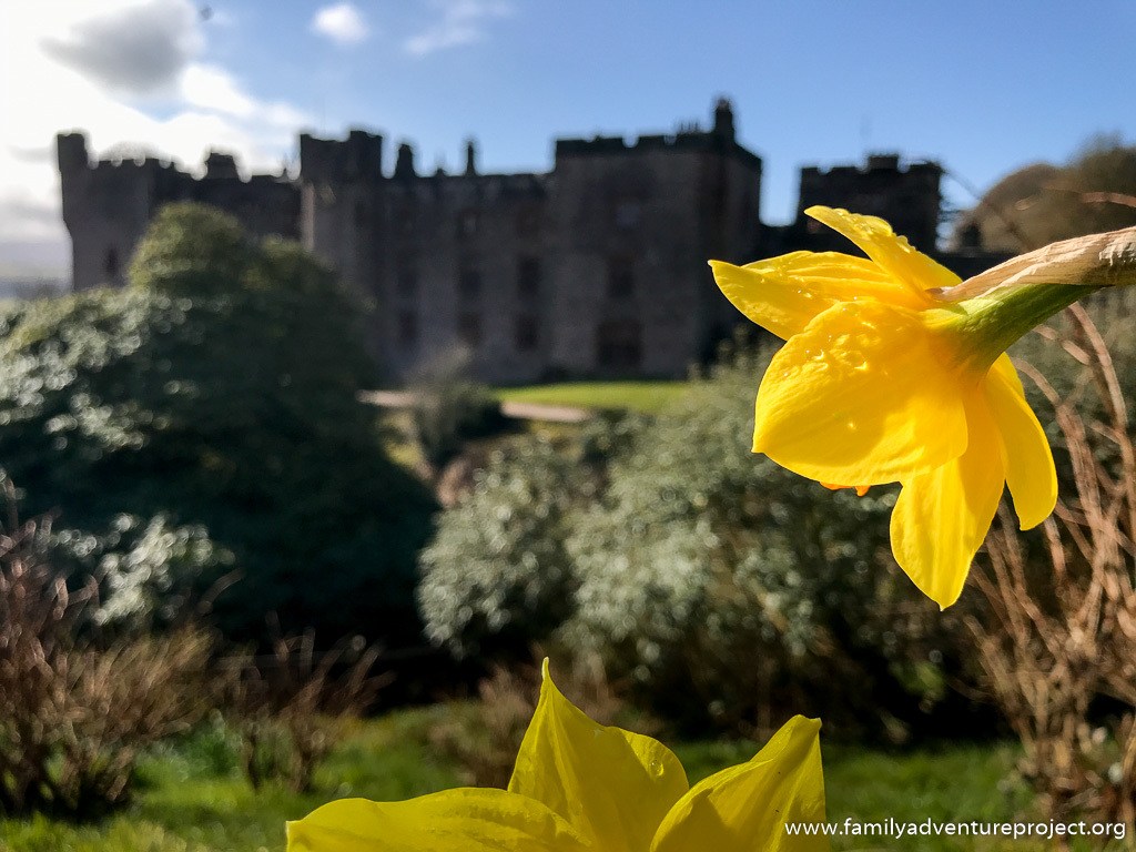 Muncaster Castle in Spring