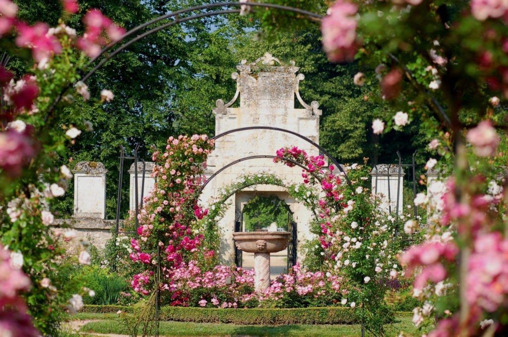 Roseraie de Chaalis-Virginie Potdevin. Image Esprit de Picardie