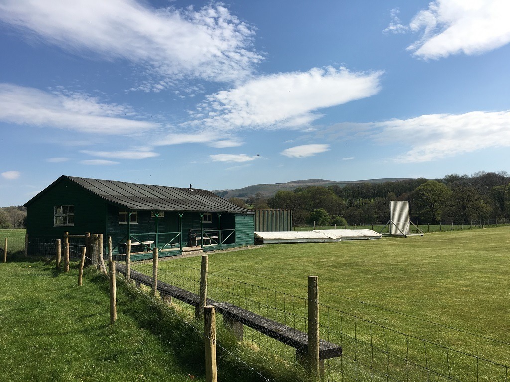Cricket pitch