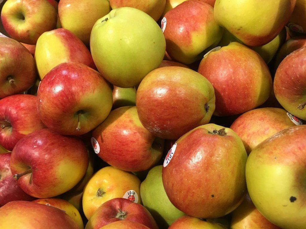 Get appled up on Apple Day in Appleby 